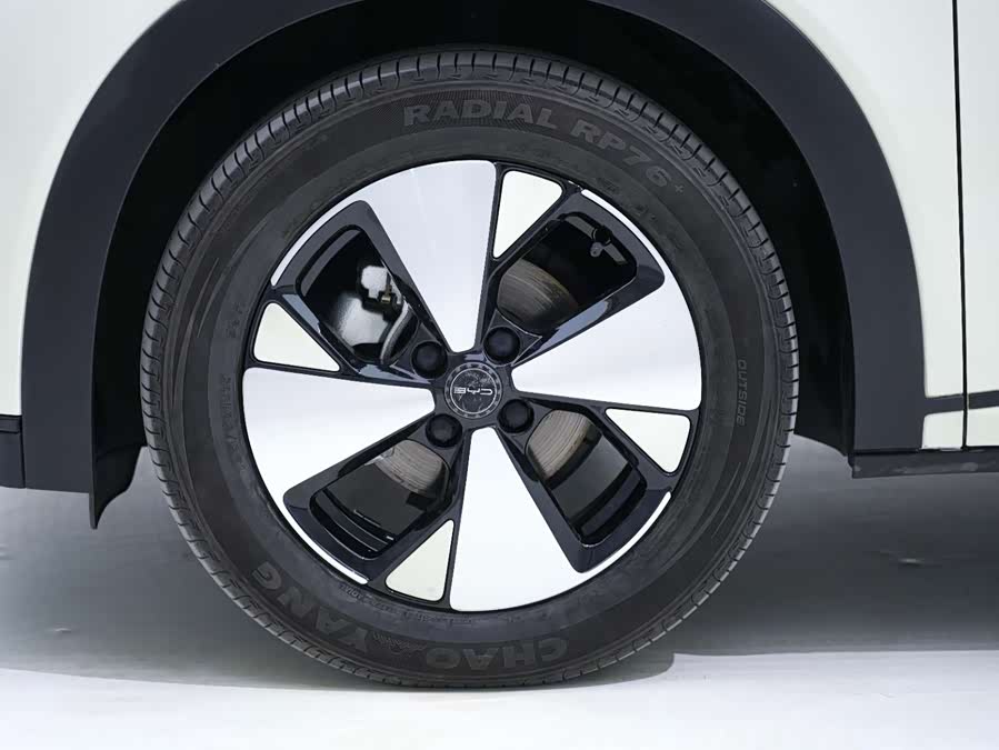 BYD Dolphin 2023 car image #11