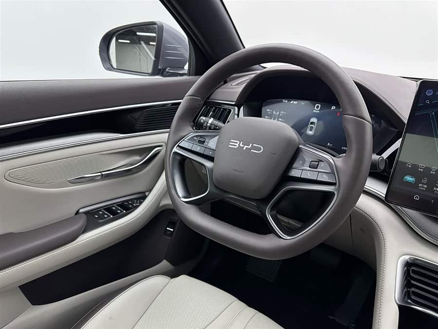 BYD Song Plus New Energy 2025 car image #11