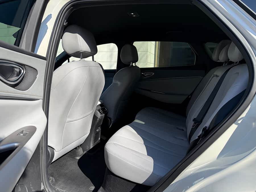 BYD Sea Lion 06 New Energy 2025 car image #11