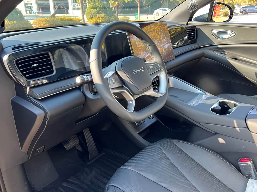 BYD Sea Lion 06 New Energy 2025 car image #11