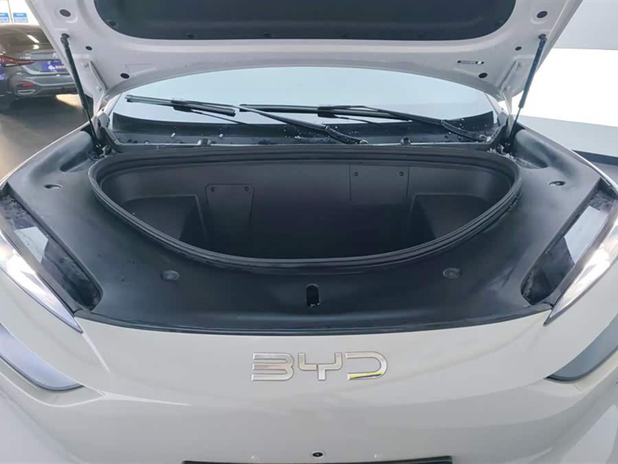 BYD Sea Lion 06 New Energy 2025 car image #11