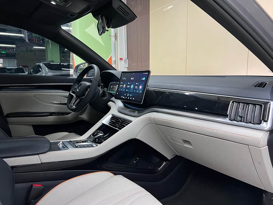 BYD Song Plus New Energy 2021 #11 BYD Song Plus New Energy 2021 car image #11