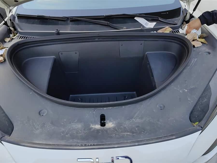 BYD Sea Lion 06 New Energy 2025 car image #11