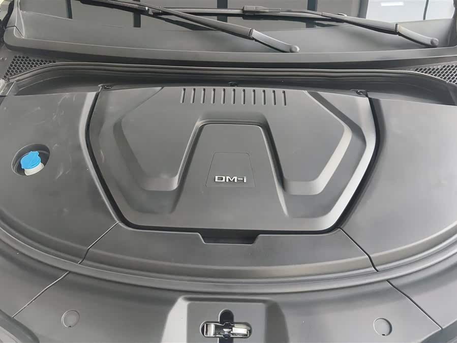 BYD Sea Lion 07 DM-i 2025 car image #11