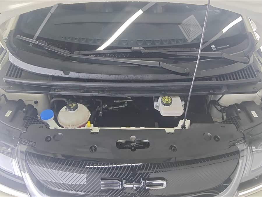 BYD Dolphin 2024 imagem de carro #11