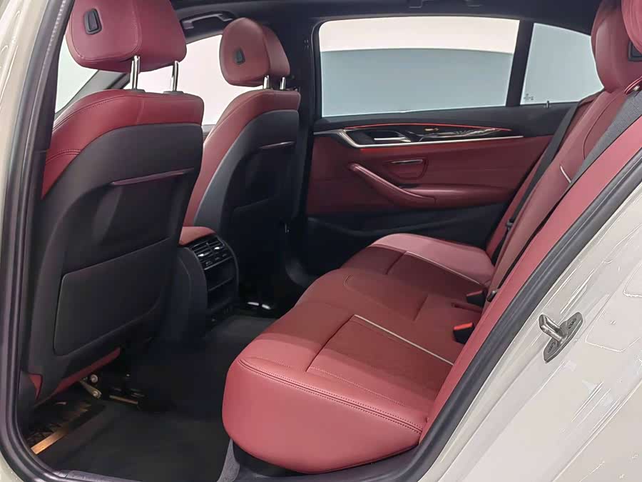 BMW 5 Series 2021 car image #11