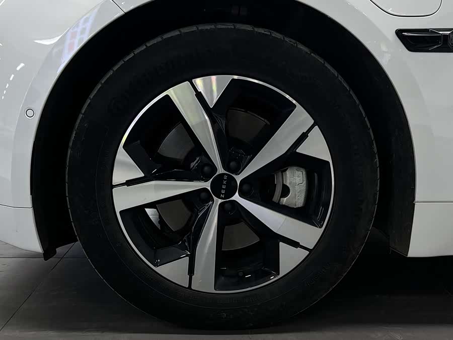 极氪 极氪001 2023 汽车图片 #11