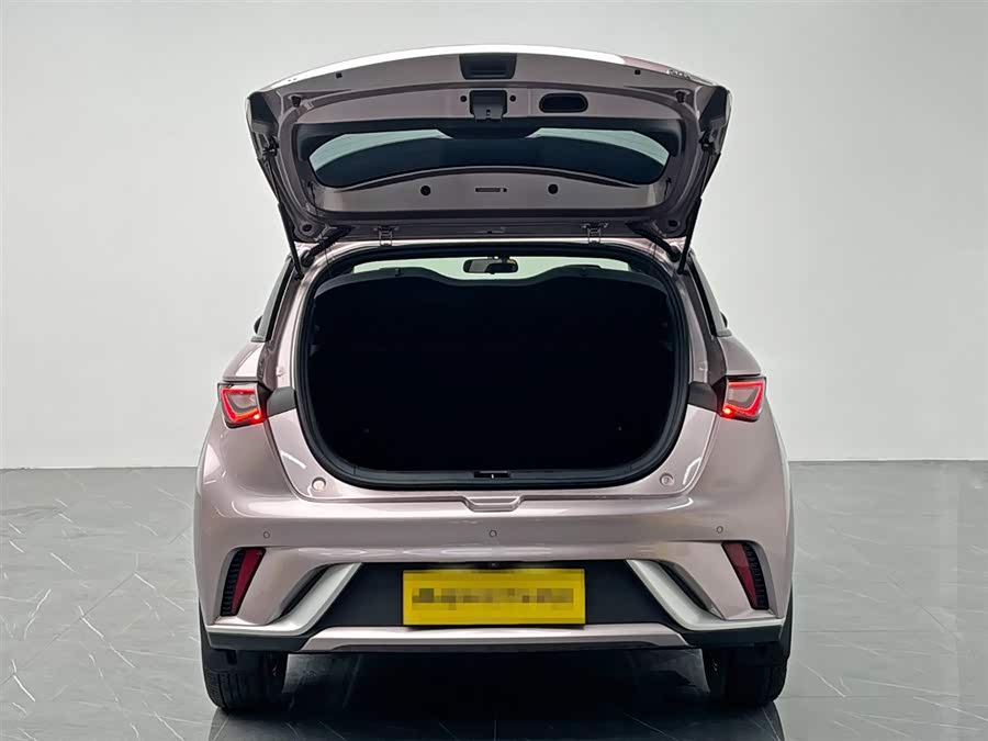 BYD Dolphin 2023 immagine di auto #11