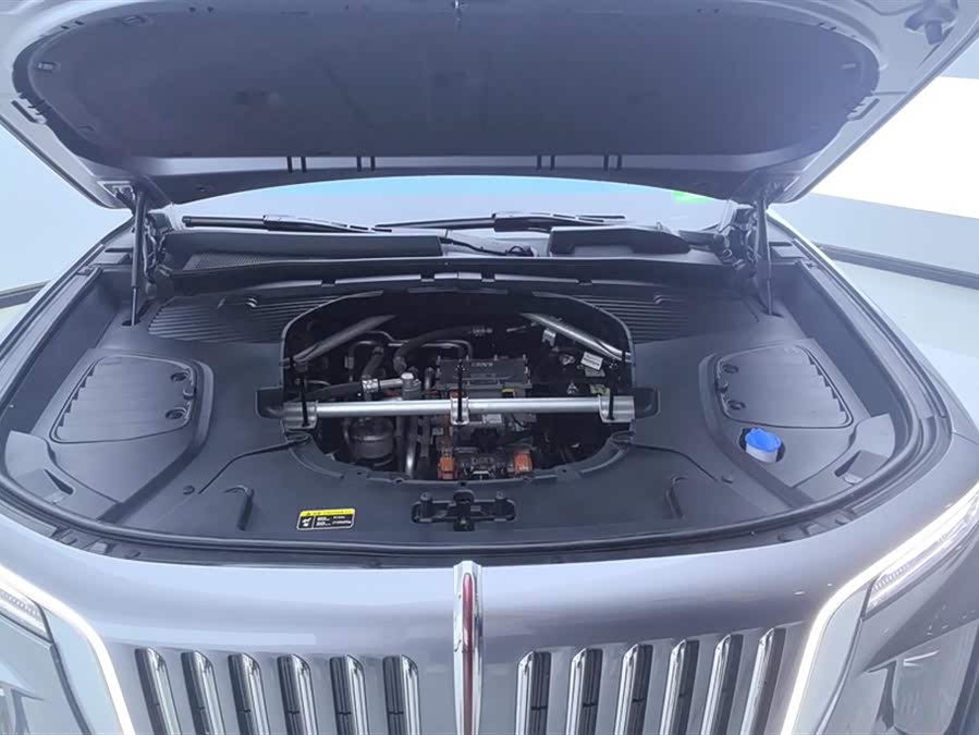 HongQi E-HS9 2023 image de voiture #11