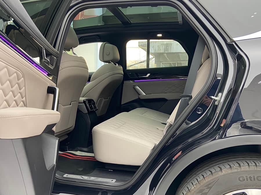 BYD Tang New Energy 2025 car image #11