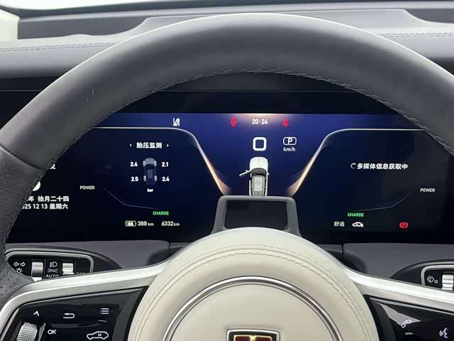 HongQi E-HS9 2023 car image #11