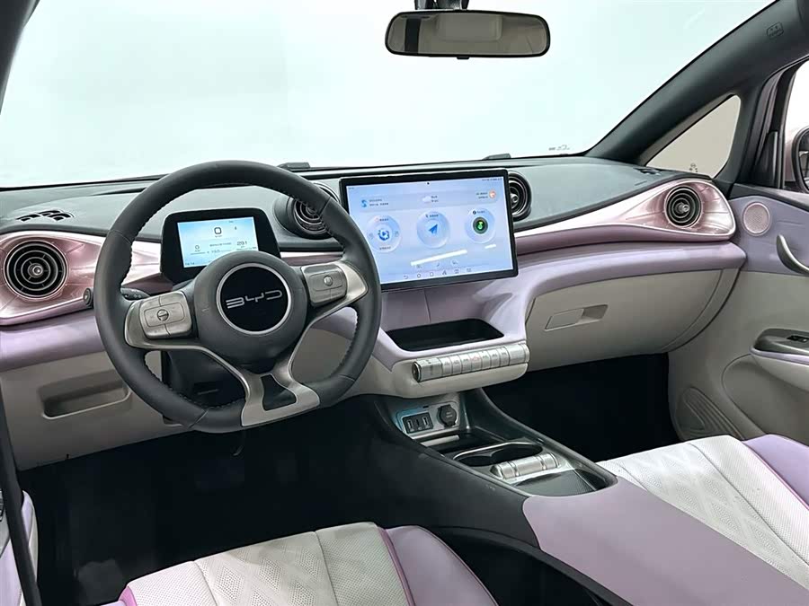 BYD Dolphin 2024 imagem de carro #11