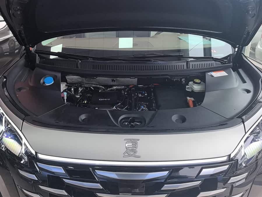 BYD Xia 2025 imagen de coche #11