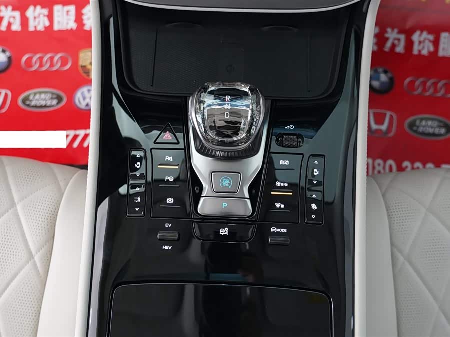 Denza D9 2024 imagem de carro #11