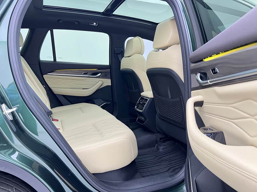 GEELY Monjaro 2024 immagine di auto #11