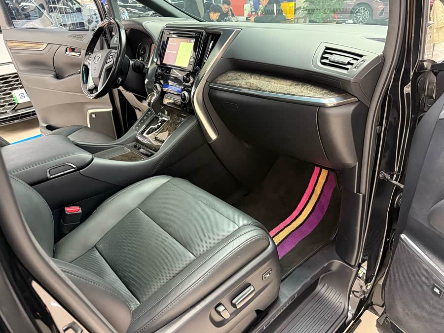 Toyota Alphard 2019 immagine di auto #11