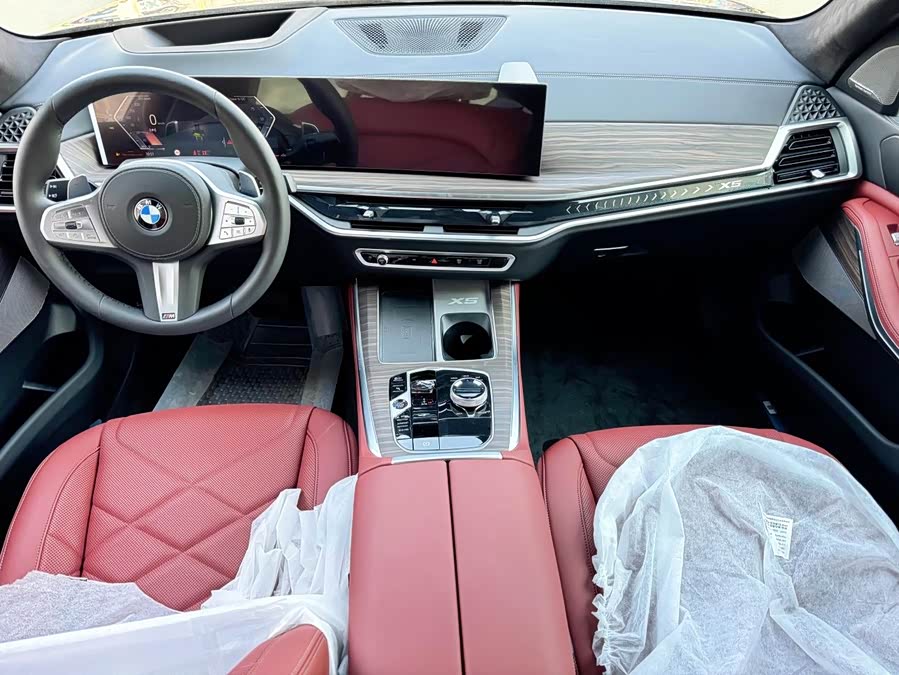 BMW X5 imagen de coche #11