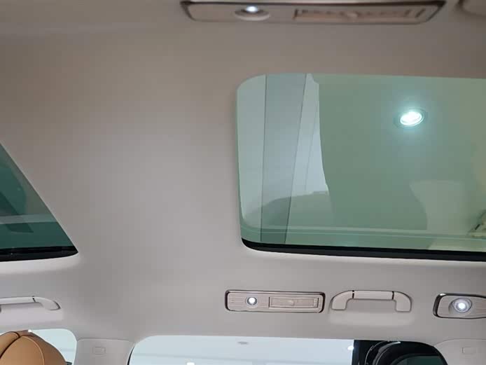 Denza D9 2025 imagen de coche #11