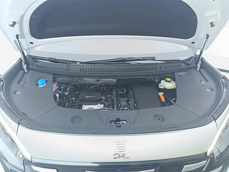 BYD Xia 2025 imagen de coche #11