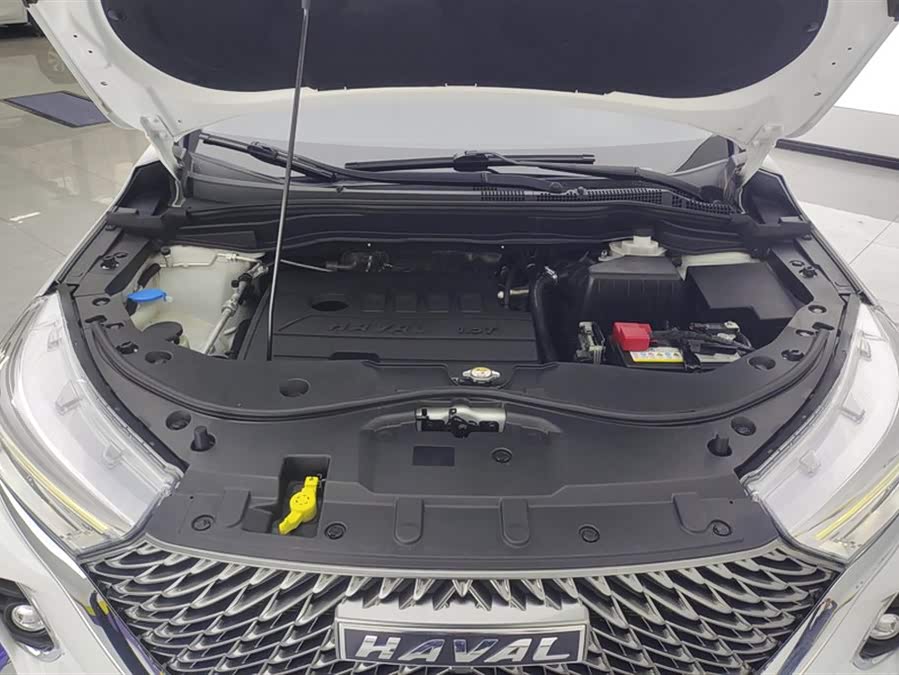 Haval M6 2021 car image #11