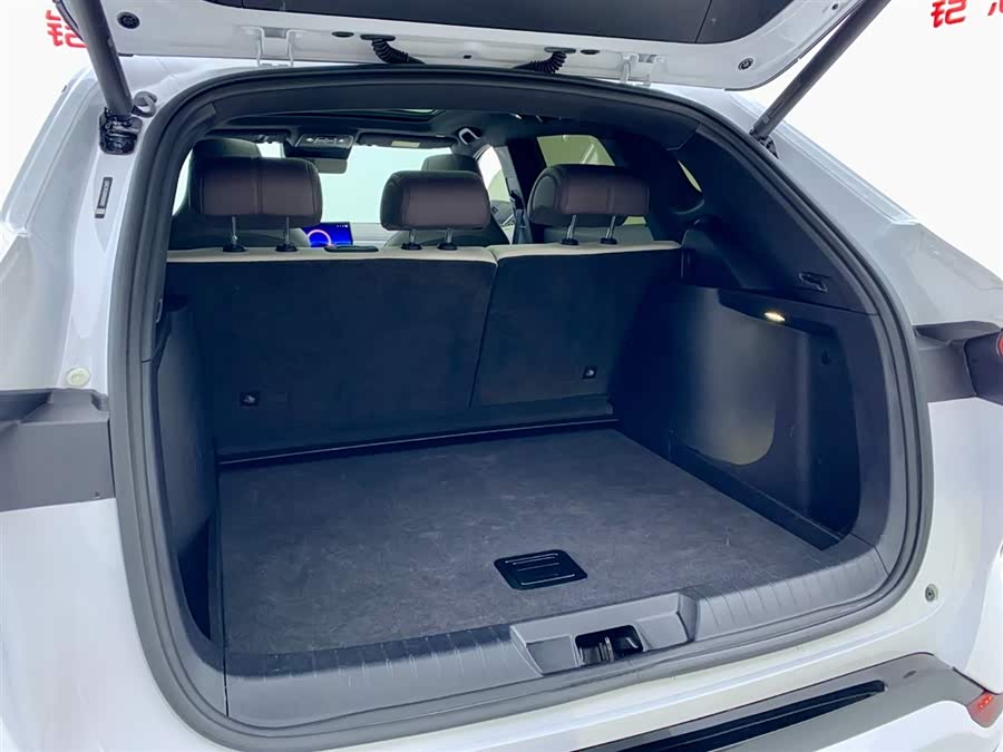 BYD Song Plus New Energy 2025 car image #11