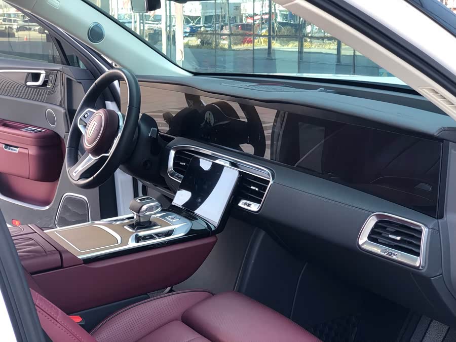 HongQi E-HS9 2021 car image #11