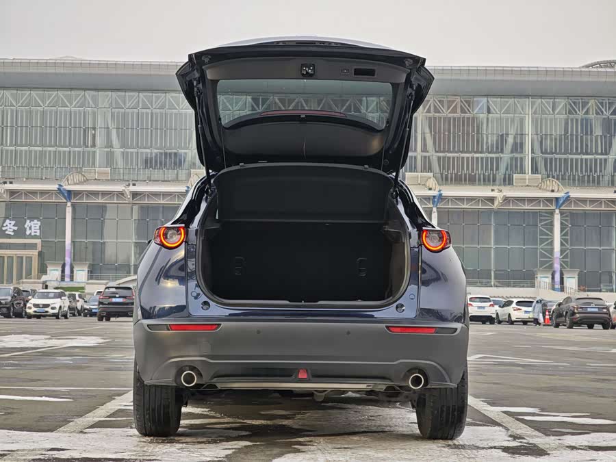 Mazda CX-30 2022 car image #11