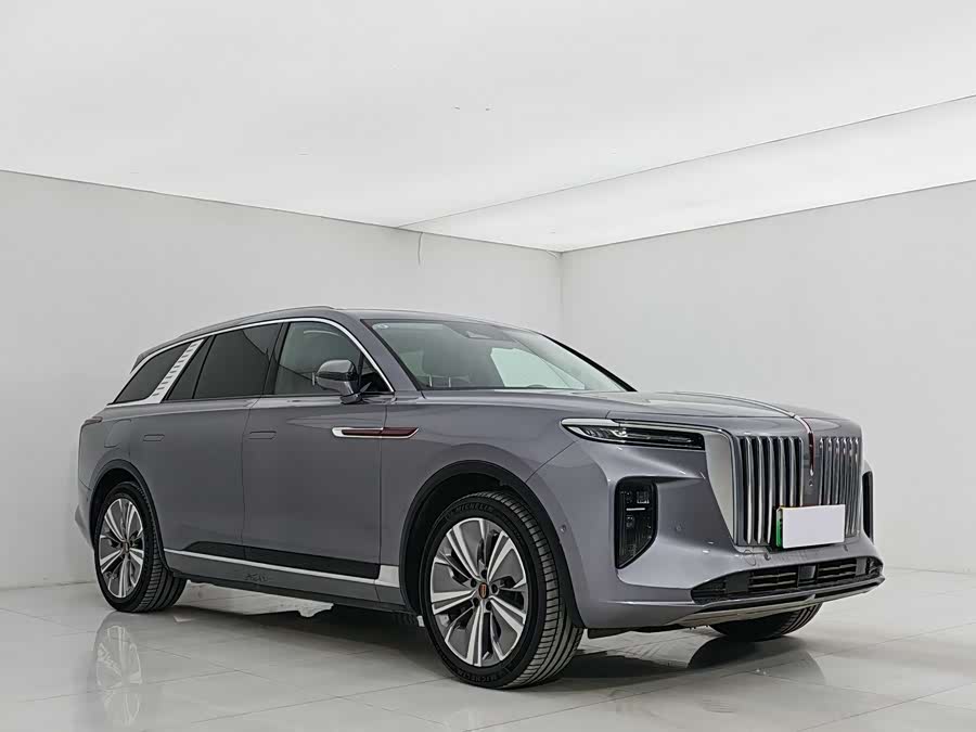 HongQi E-HS9 2023 car image #11