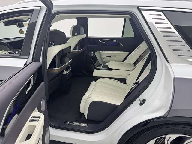 HongQi E-HS9 2023 image de voiture #11