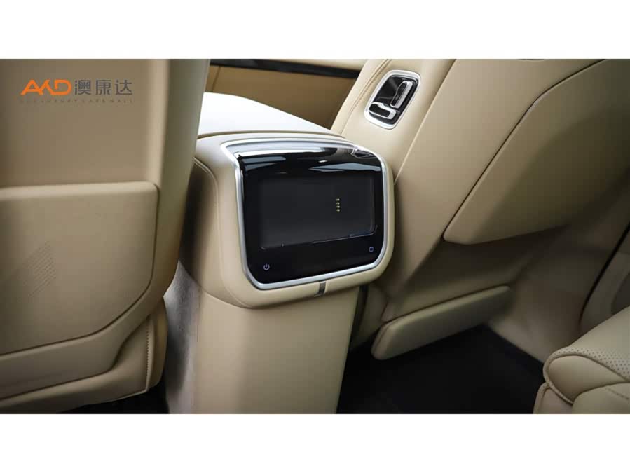 极氪 极氪9X 2026 汽车图片 #11