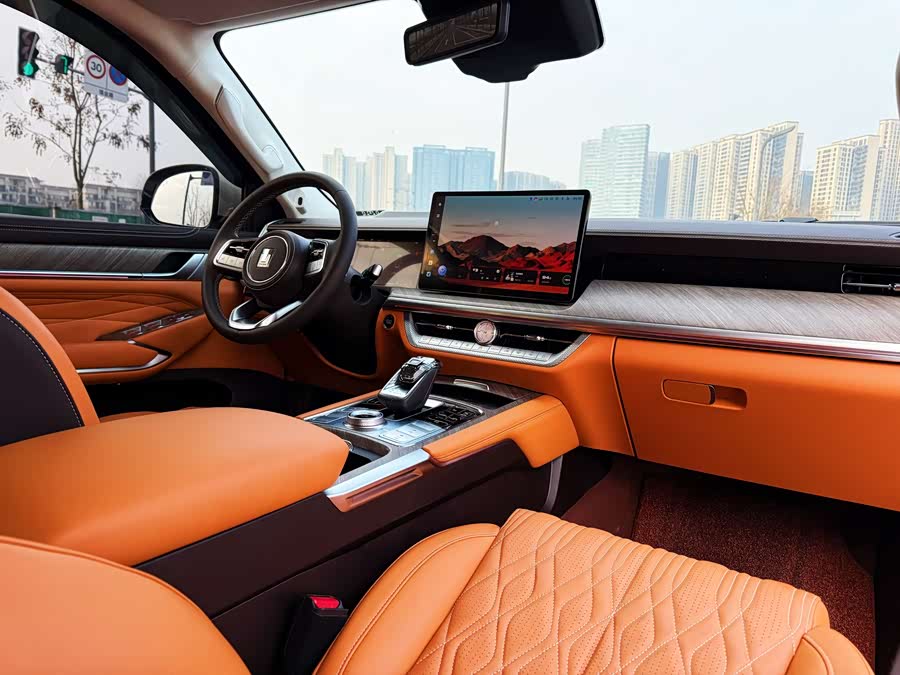 坦克 坦克500 2022 汽车图片 #11