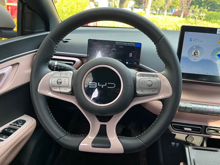 BYD Seagull 2023 immagine di auto #11