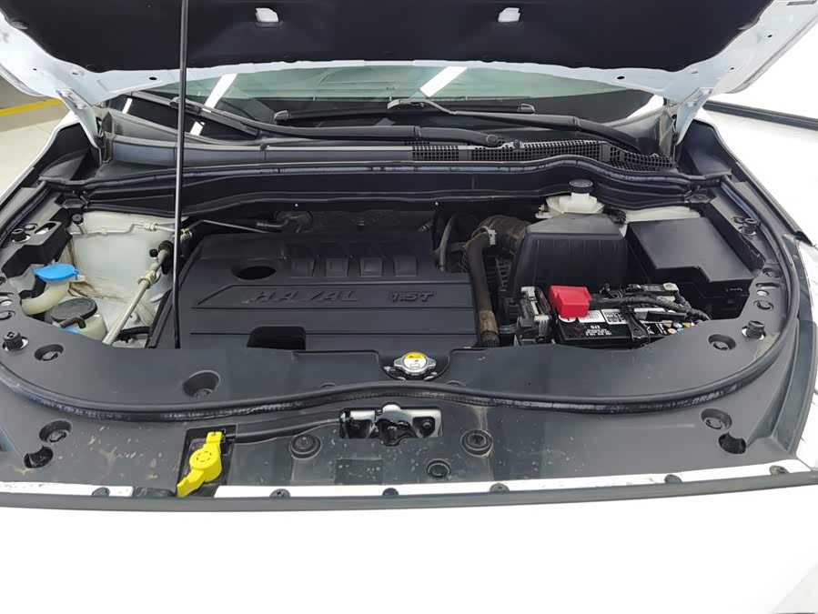 Haval M6 2020 car image #11