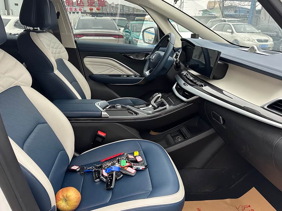 睿蓝汽车 枫叶80v PRO 2024 汽车图片 #11