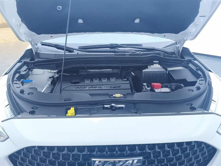 Haval M6 2020 car image #11