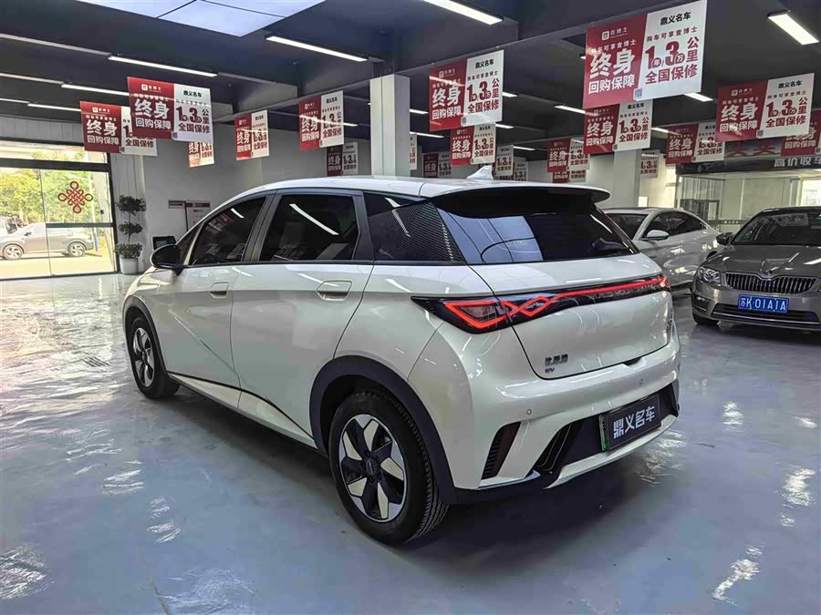 BYD Dolphin 2024 صورة سيارة #11