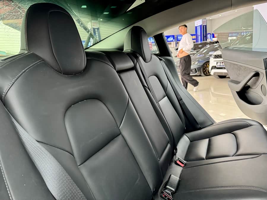 Tesla Model 3 2022 immagine di auto #11