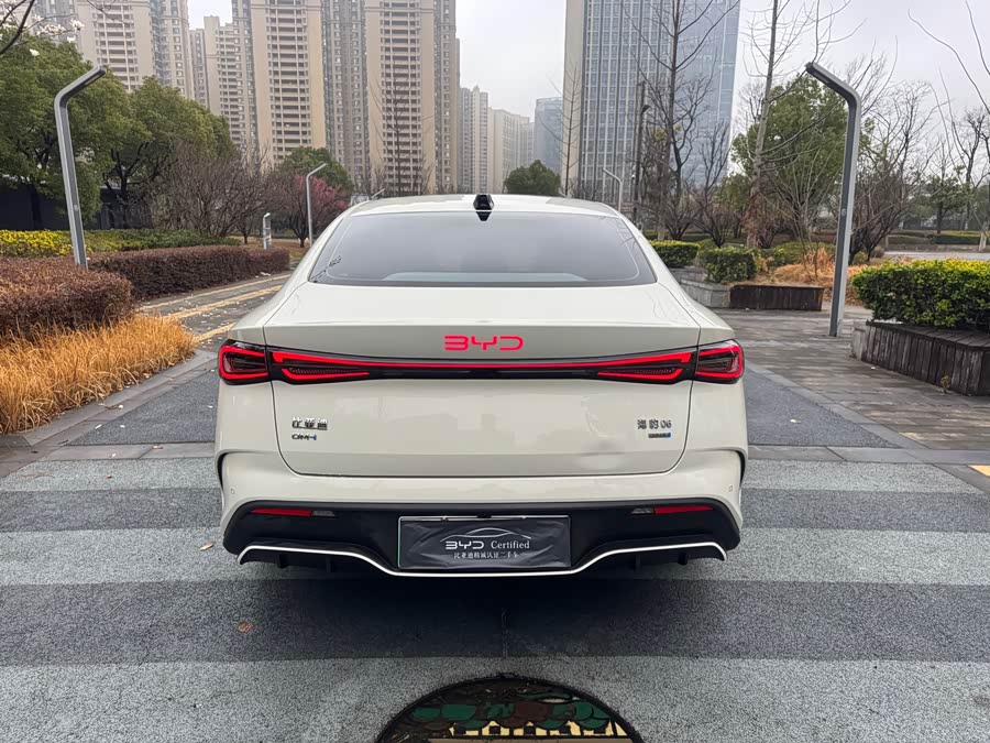 BYD Tang New Energy 2022 car image #11