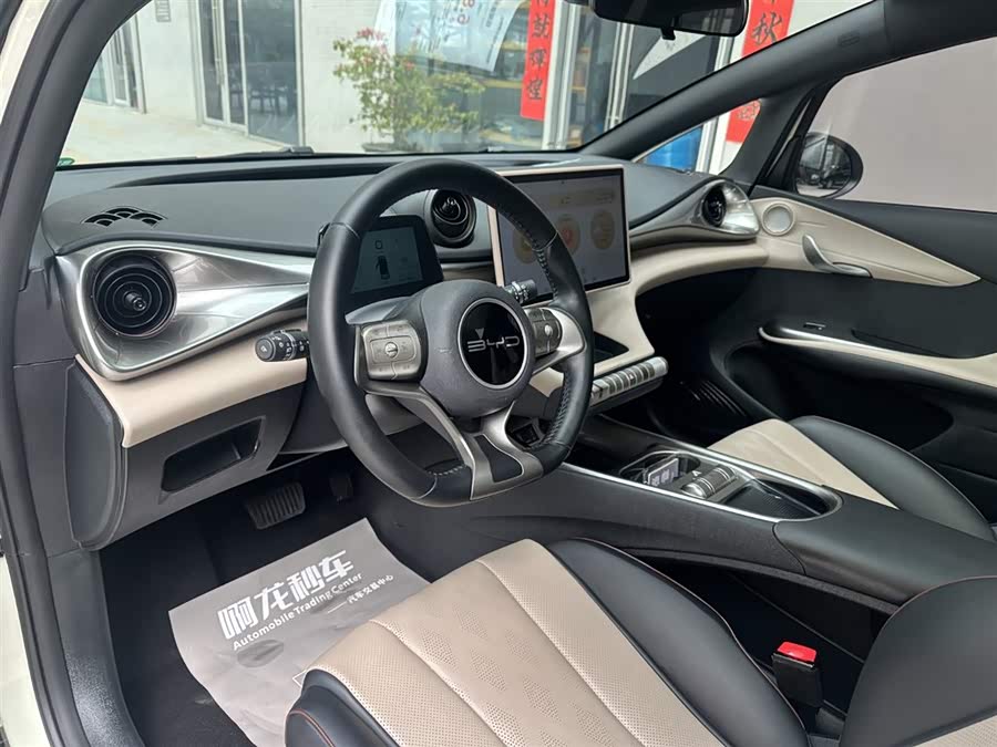 BYD Dolphin 2023 imagem de carro #11