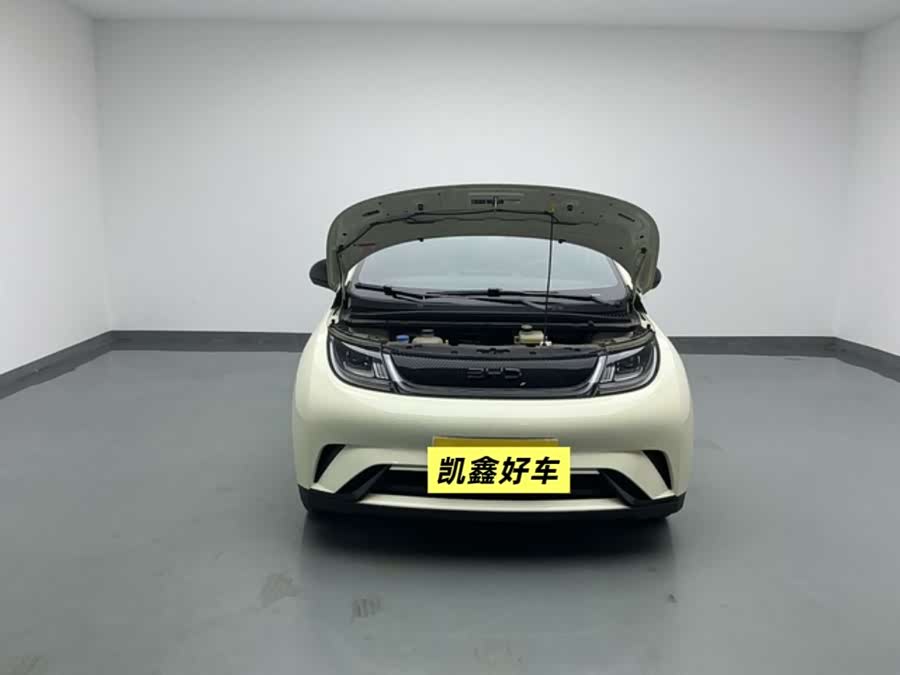 BYD Dolphin 2025 صورة سيارة #11