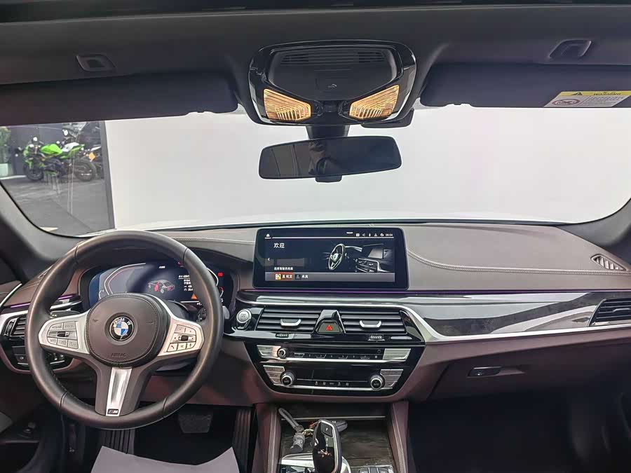 BMW 5 Series 2023 car image #11