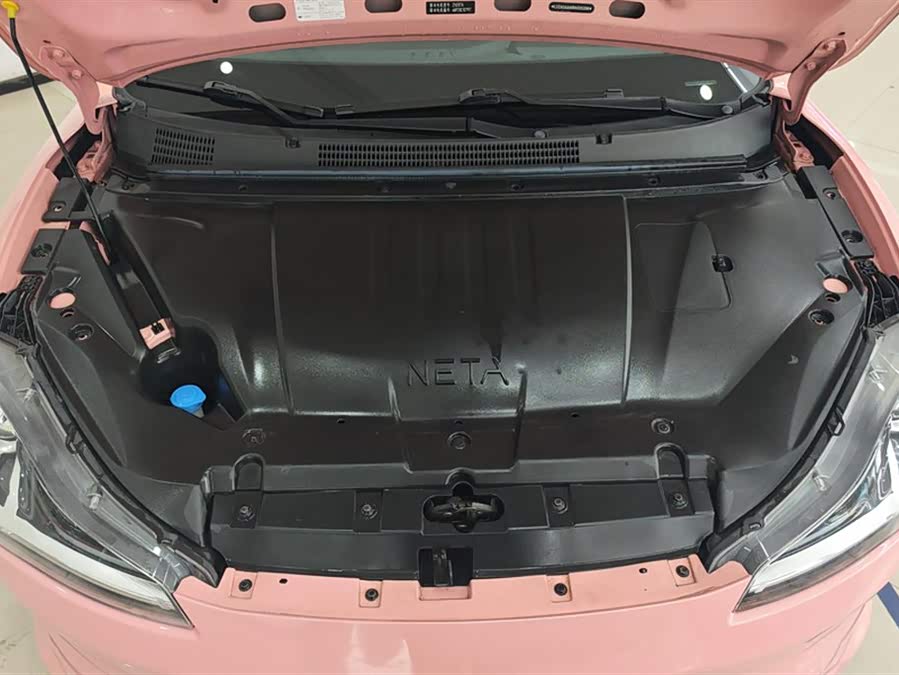 Neta V 2022 صورة سيارة #11