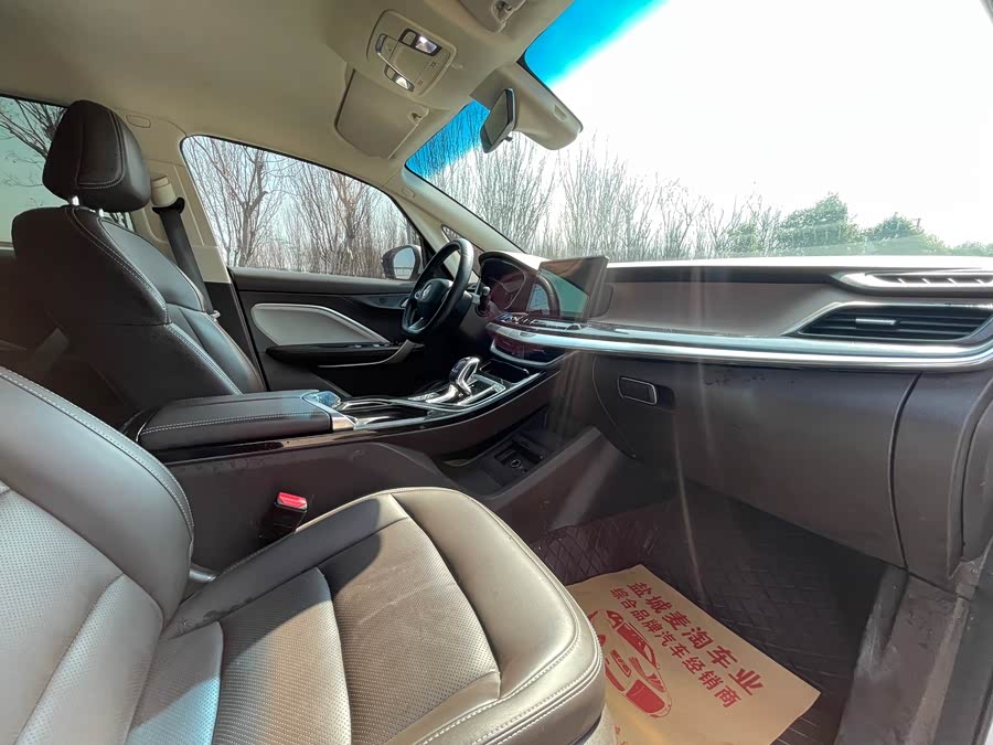 睿蓝汽车 枫叶80v 2020 汽车图片 #11