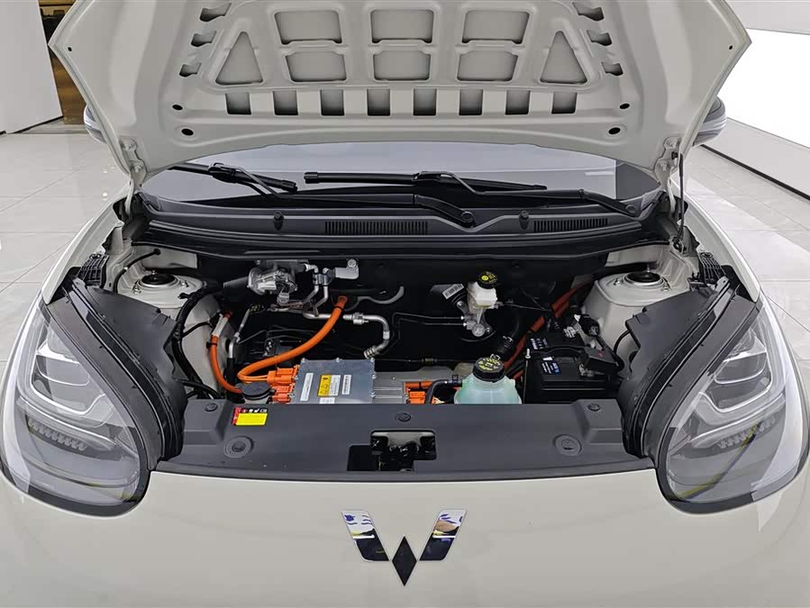 五菱汽车 五菱缤果 2023 汽车图片 #11