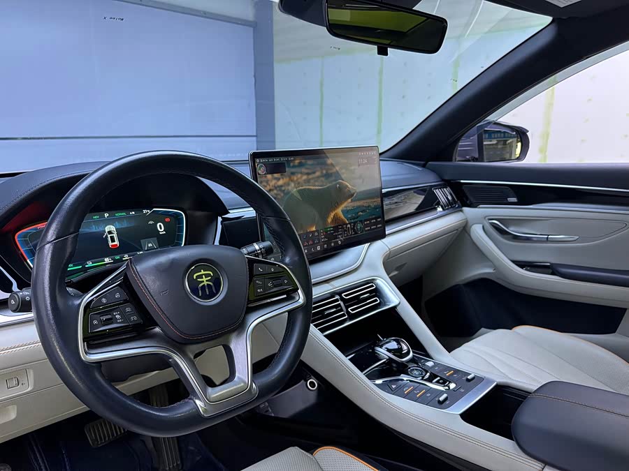 BYD Song Plus New Energy 2022 car image #11