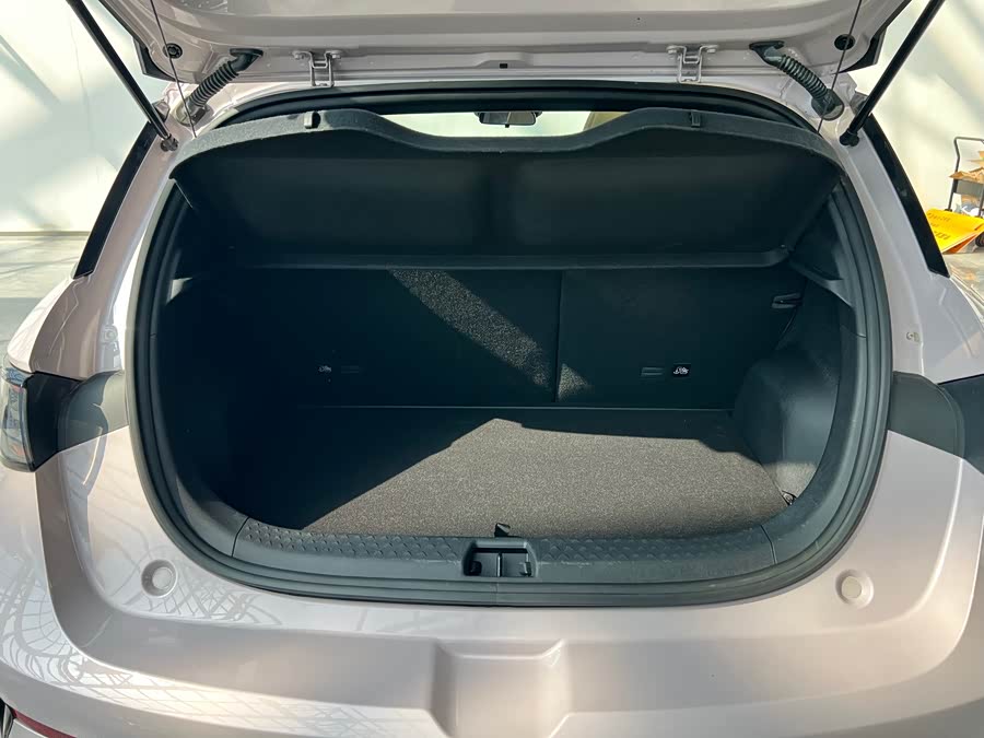 BYD Dolphin 2025 imagem de carro #11