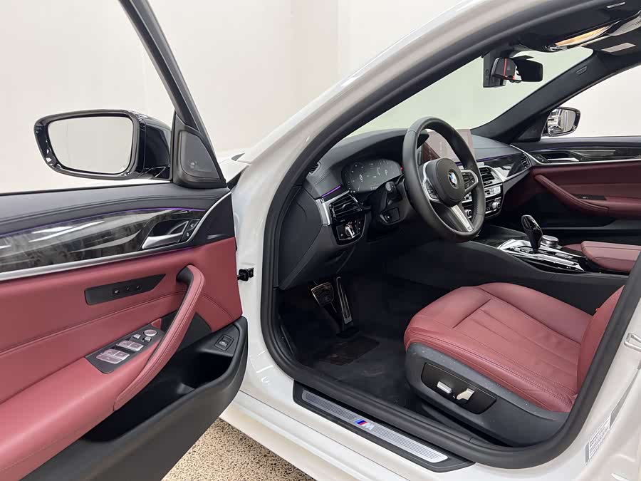 BMW 5 Series 2019 car image #11