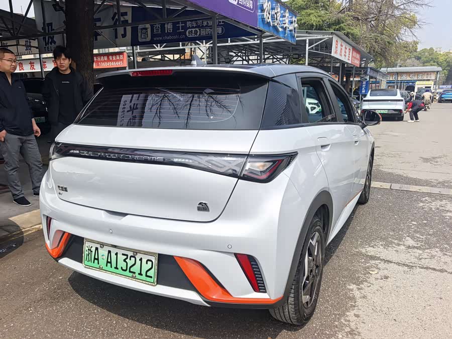 BYD Dolphin 2021 imagem de carro #11