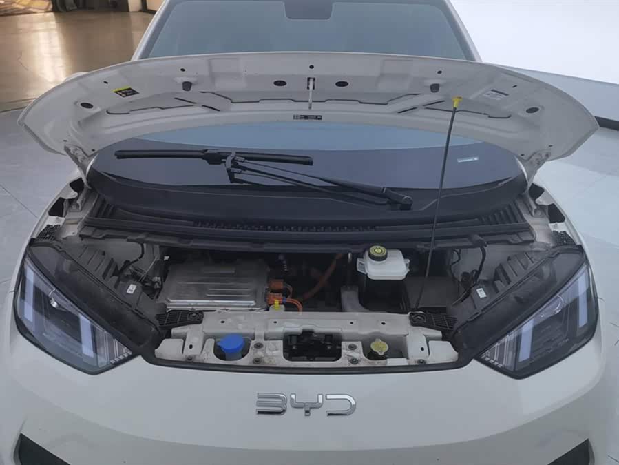 BYD Seagull 2025 imagen de coche #11