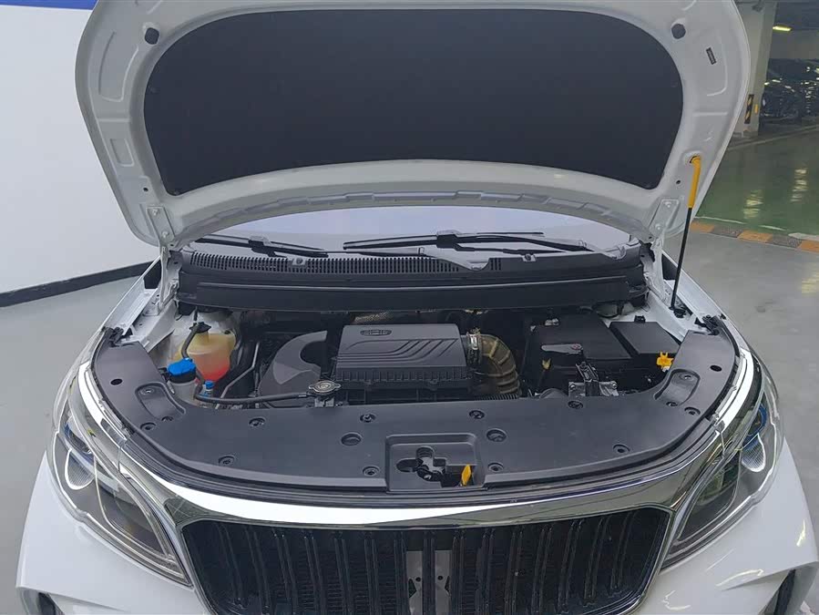 睿蓝汽车 睿蓝汽车X3 PRO 2022 汽车图片 #11